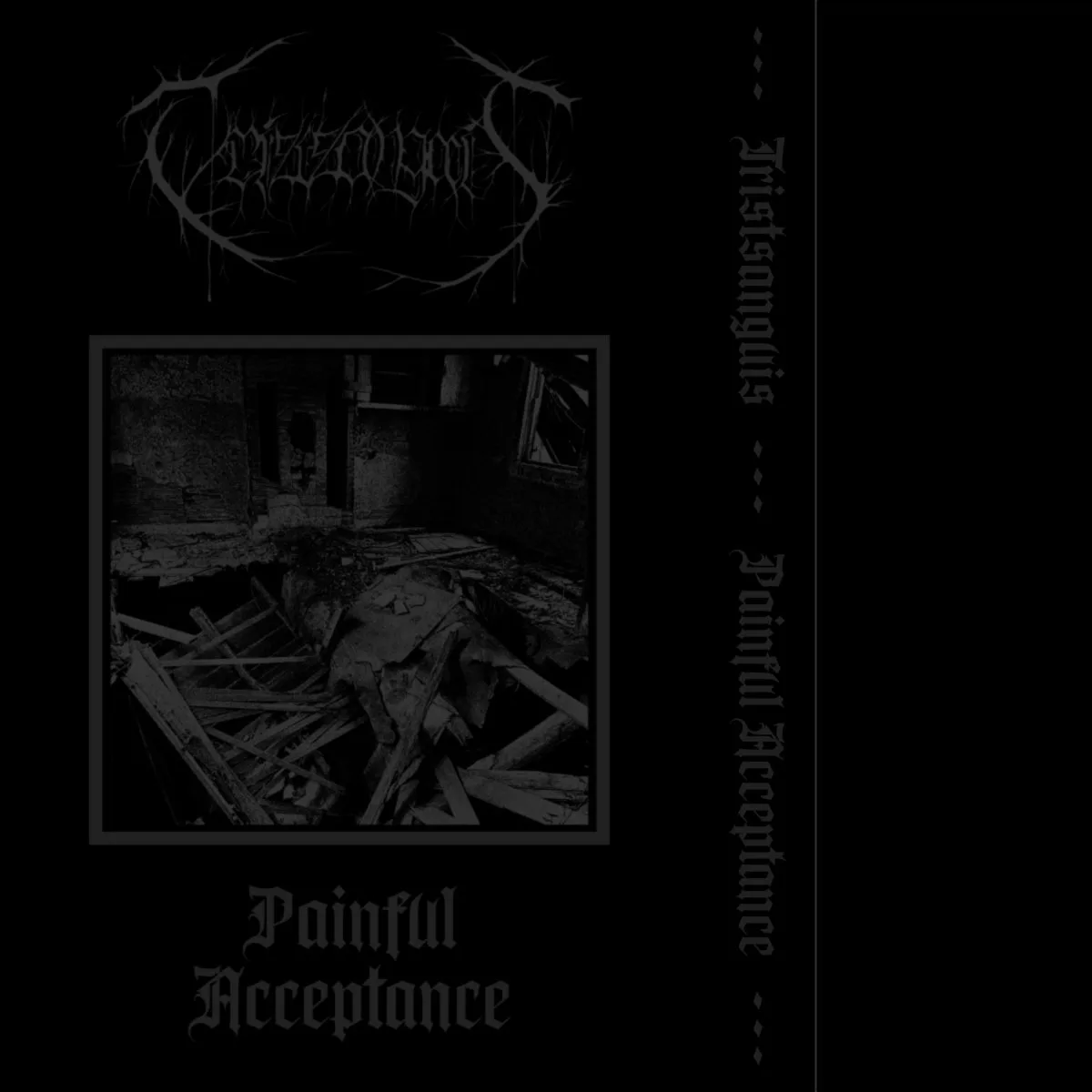 Painful Acceptance cover