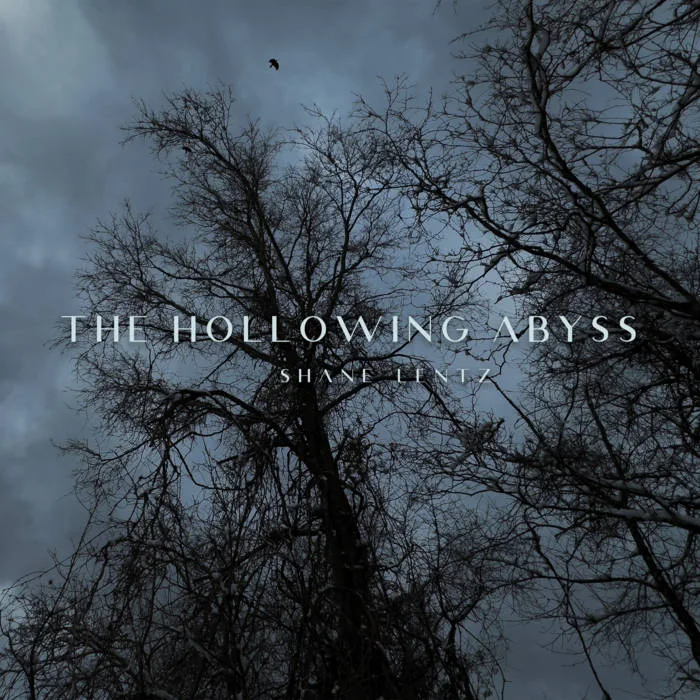 The Hollowing Abyss cover