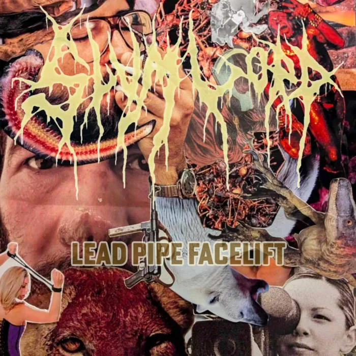 Lead Pipe Facelift cover