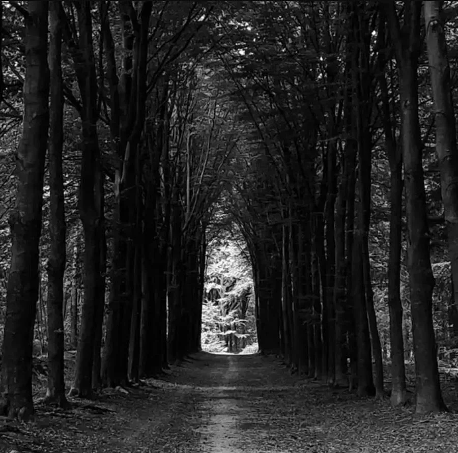 Liefde en Licht cover