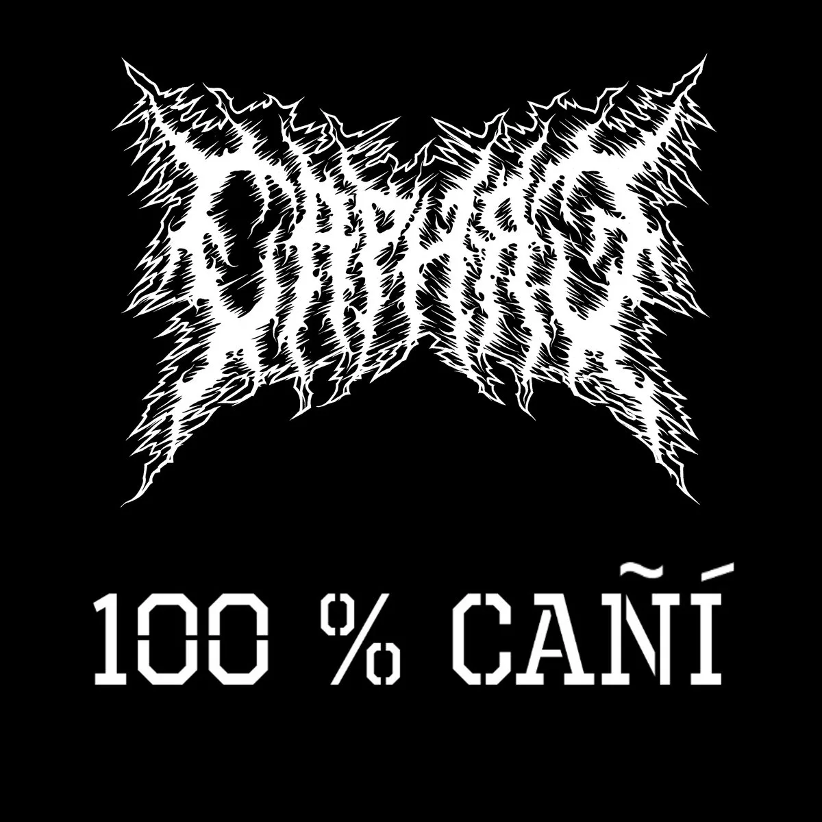100% cañí cover