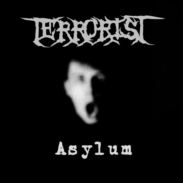 Asylum cover