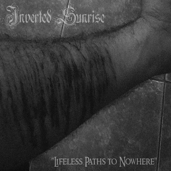 Lifeless Paths to Nowhere cover