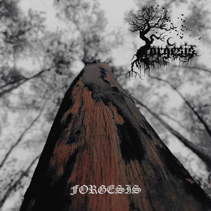 Forgesis cover