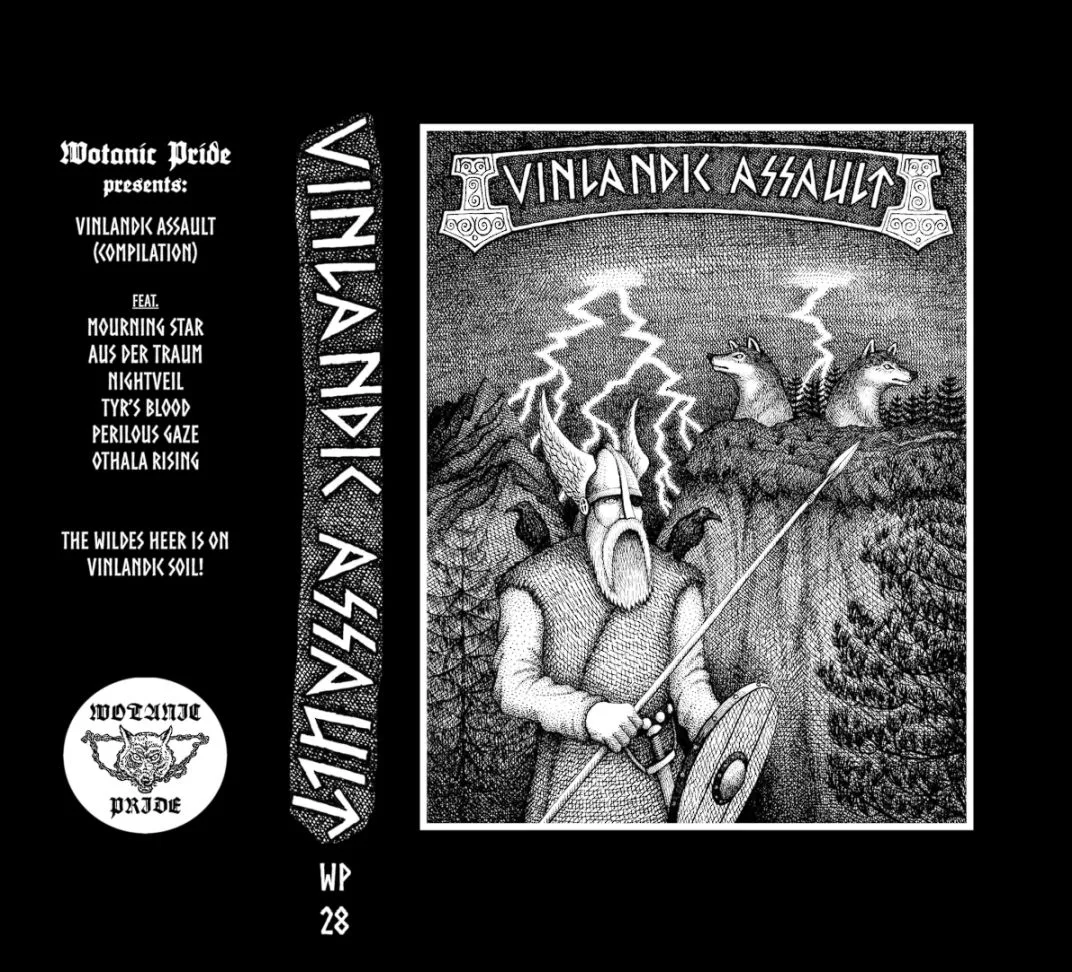 Vinlandic Assault cover