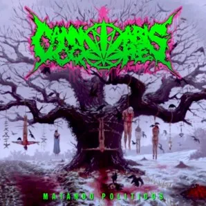 Matando Politicos cover