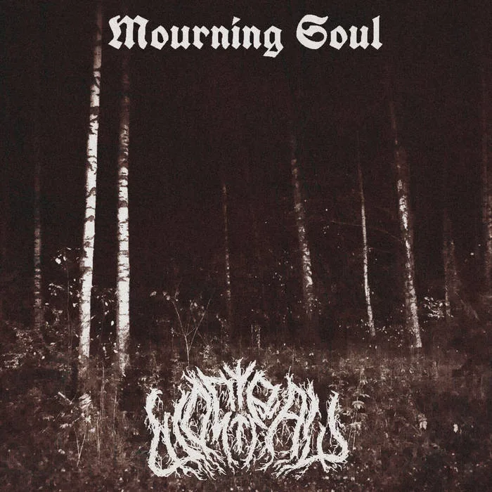 Mourning Soul cover