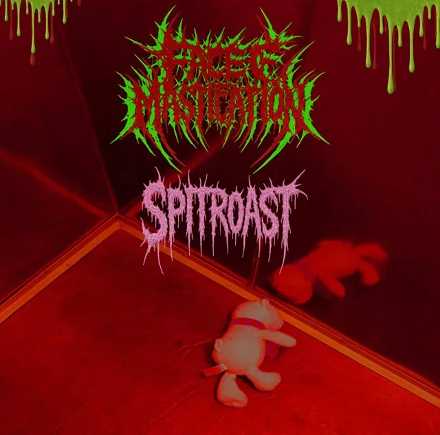 Spitroast cover
