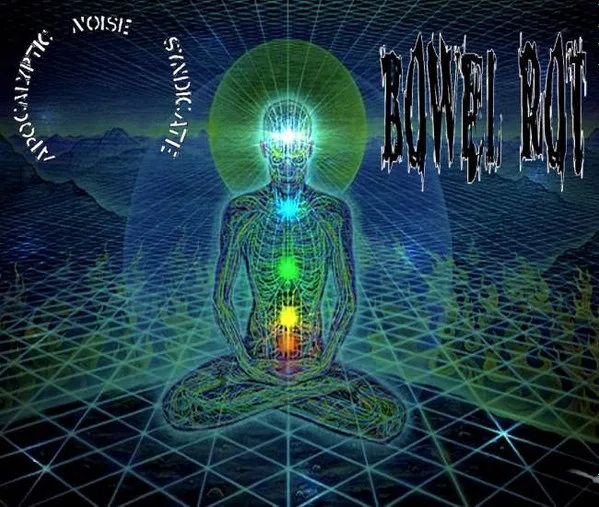 Apocalyptic Noise Syndicate vs Bowel Rot cover