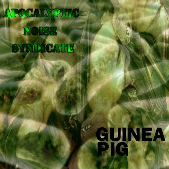 Apocalyptic Noise Syndicate / Guinea Pig cover