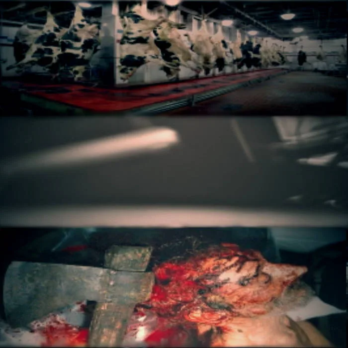 Apocalyptic Noise Syndicate / Chamber of Tapeworms / Enterorrhagia cover