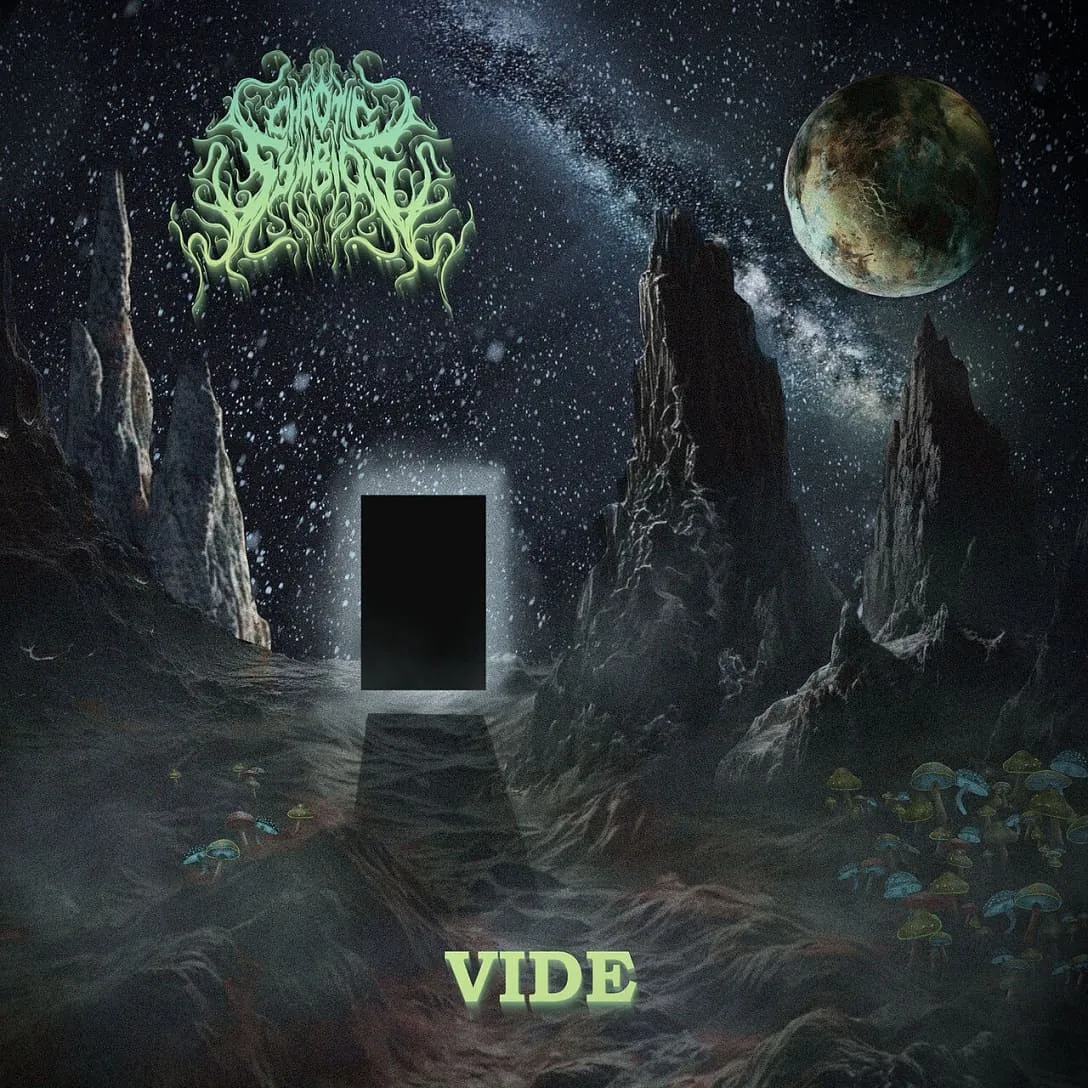 Vide cover