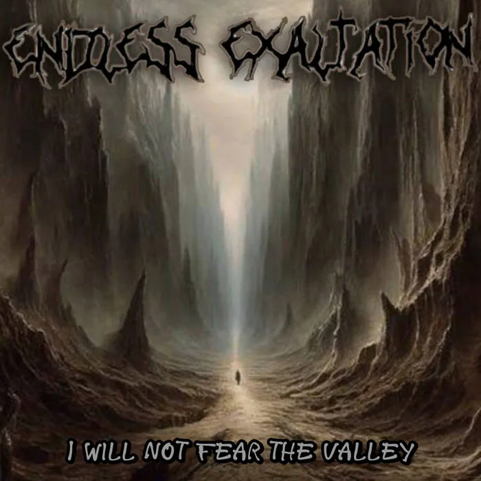 I Will Not Fear the Valley cover