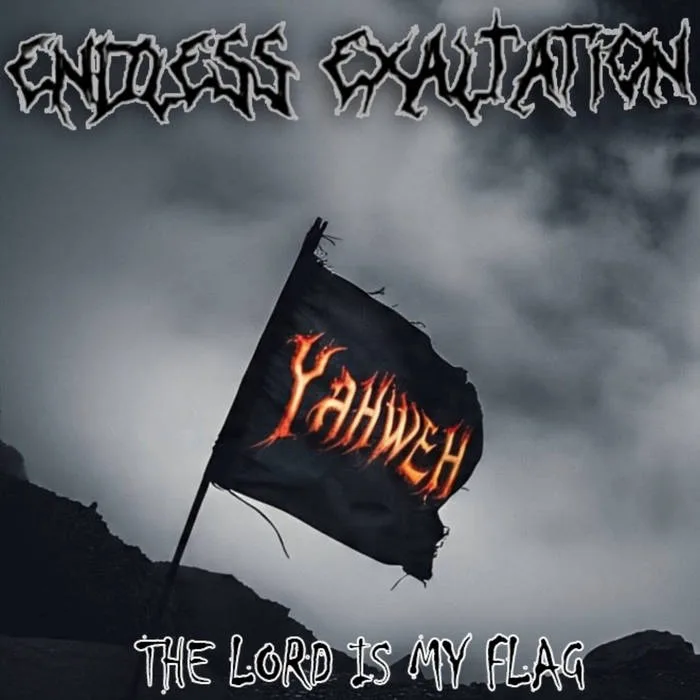 The Lord Is My Flag cover