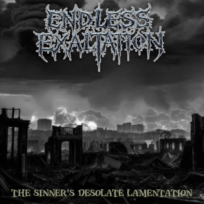 The Sinner's Desolate Lamentation cover