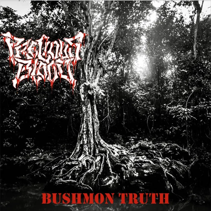Bushmon Truth cover