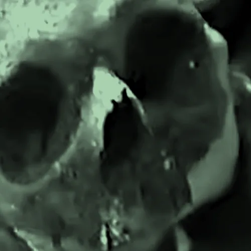 Grave Robbing for Morons cover
