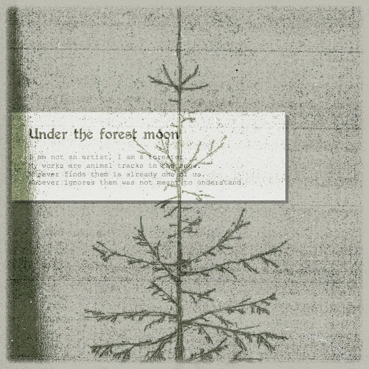 Under the Forest Moon cover