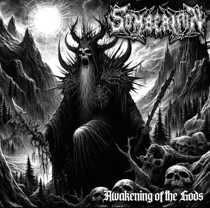 Awakening of the Gods cover