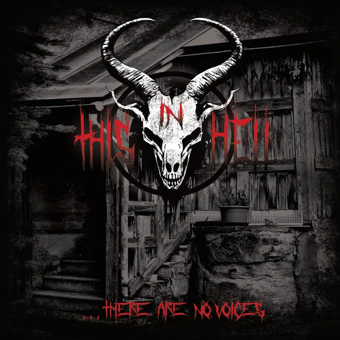 There Are No Voices cover