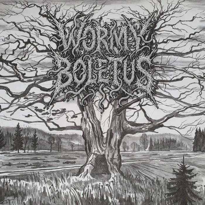 Wormy Boletus cover