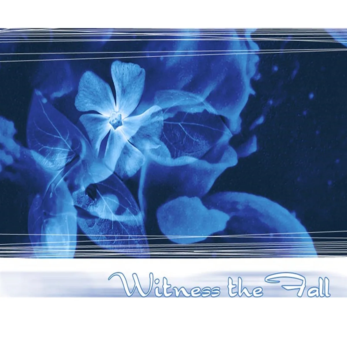 Witness the Fall cover