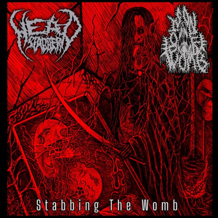 Stabbing the Womb cover