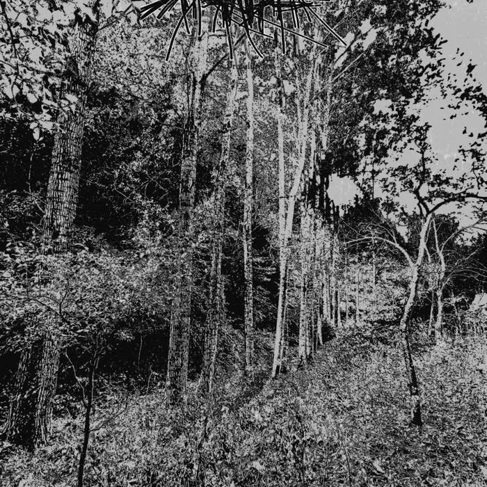 Tranquility in Suicide cover