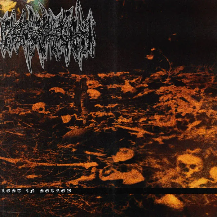 Lost in Sorrow cover