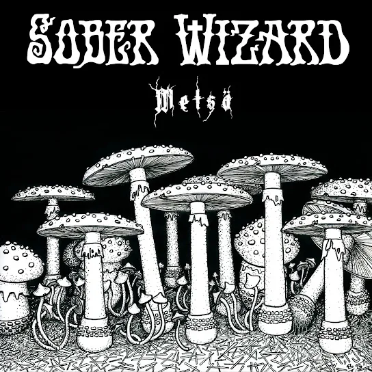 Metsä cover