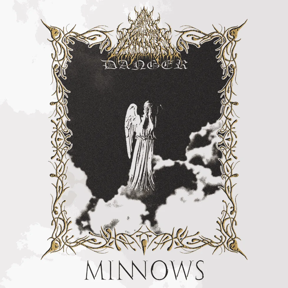 Minnows cover