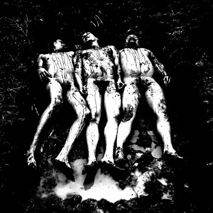 Kaivo cover