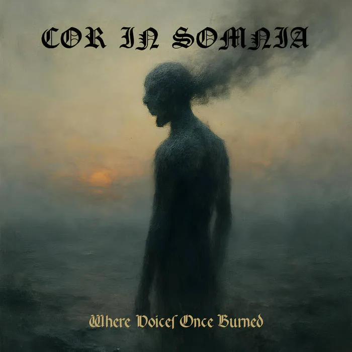 Where Voices Once Burned cover