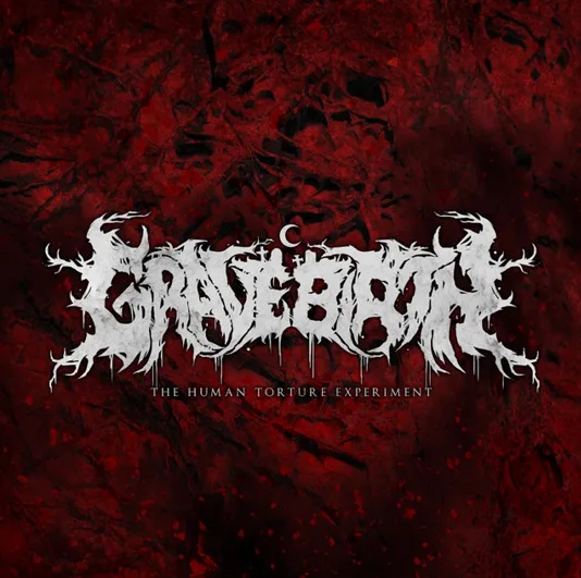 The Human Torture Experiment cover