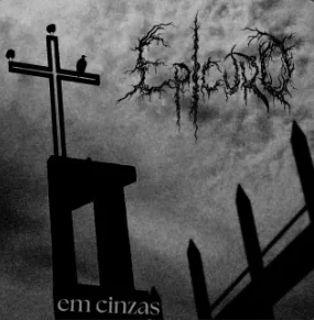 Em Cinzas cover