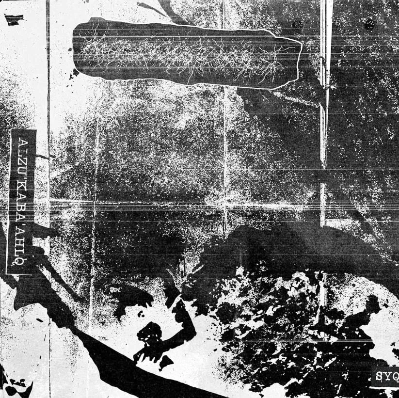 Syqbiquitious Zwiild cover