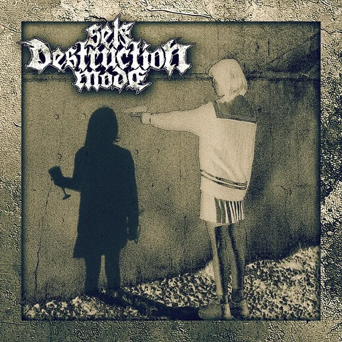 Self Destruction Mode cover
