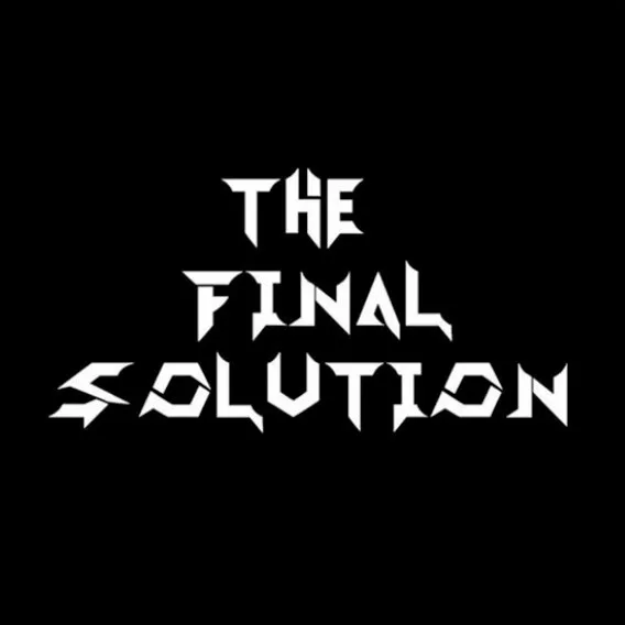The Final Solution cover