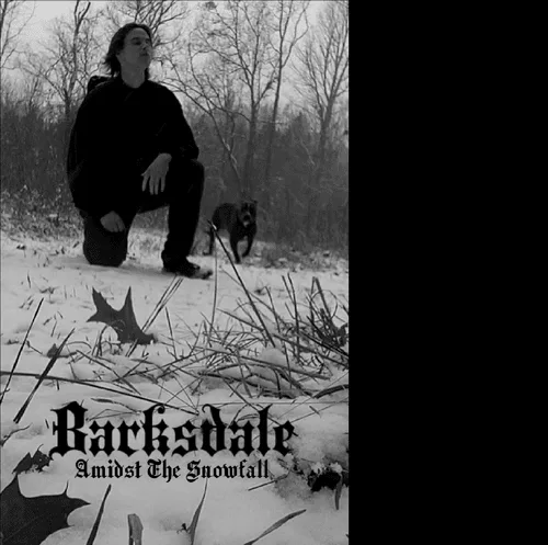 Amidst the Snowfall cover