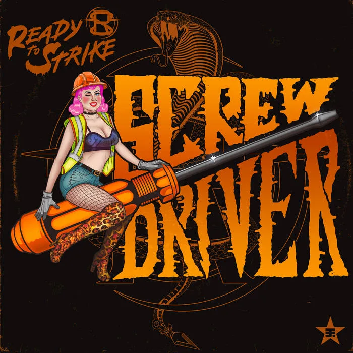 Screwdriver cover
