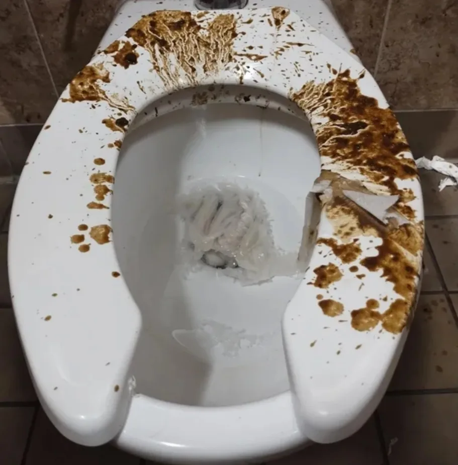 Shit Disclosure cover