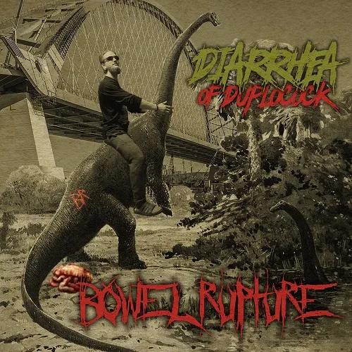 Diarrhea of Duplocock cover