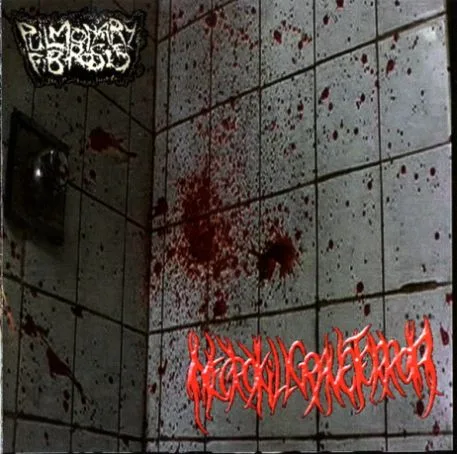 Pulmonary Fibrosis / NecroKillGraveTerror cover