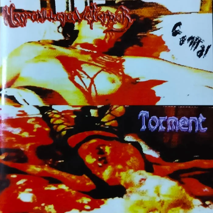 Genital Torment cover