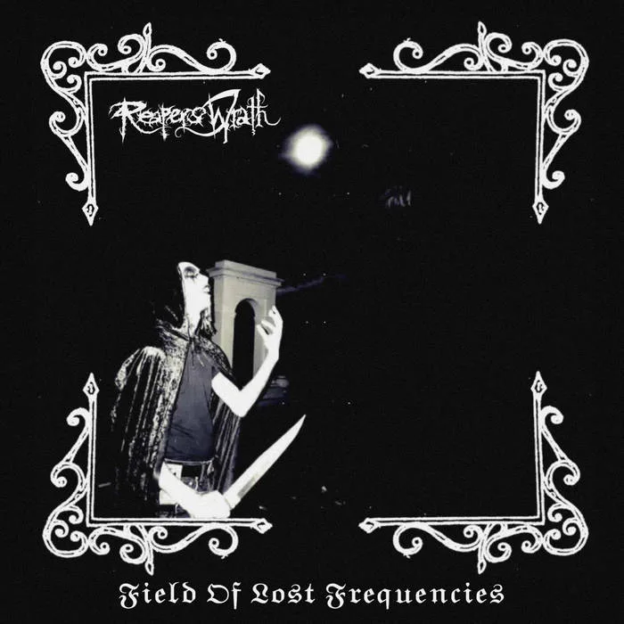 Field of Lost Frequencies cover