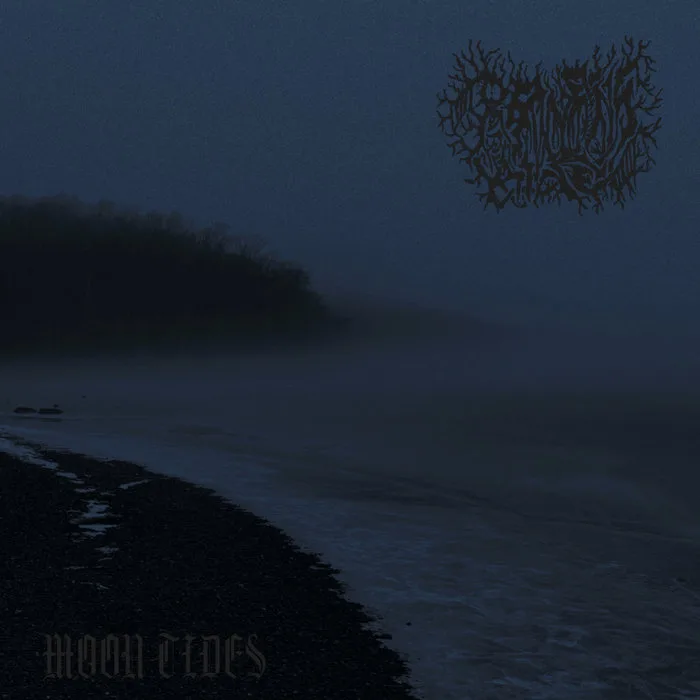 Moon Tides cover