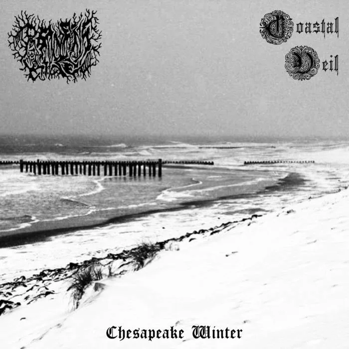 Chesapeake Winter cover