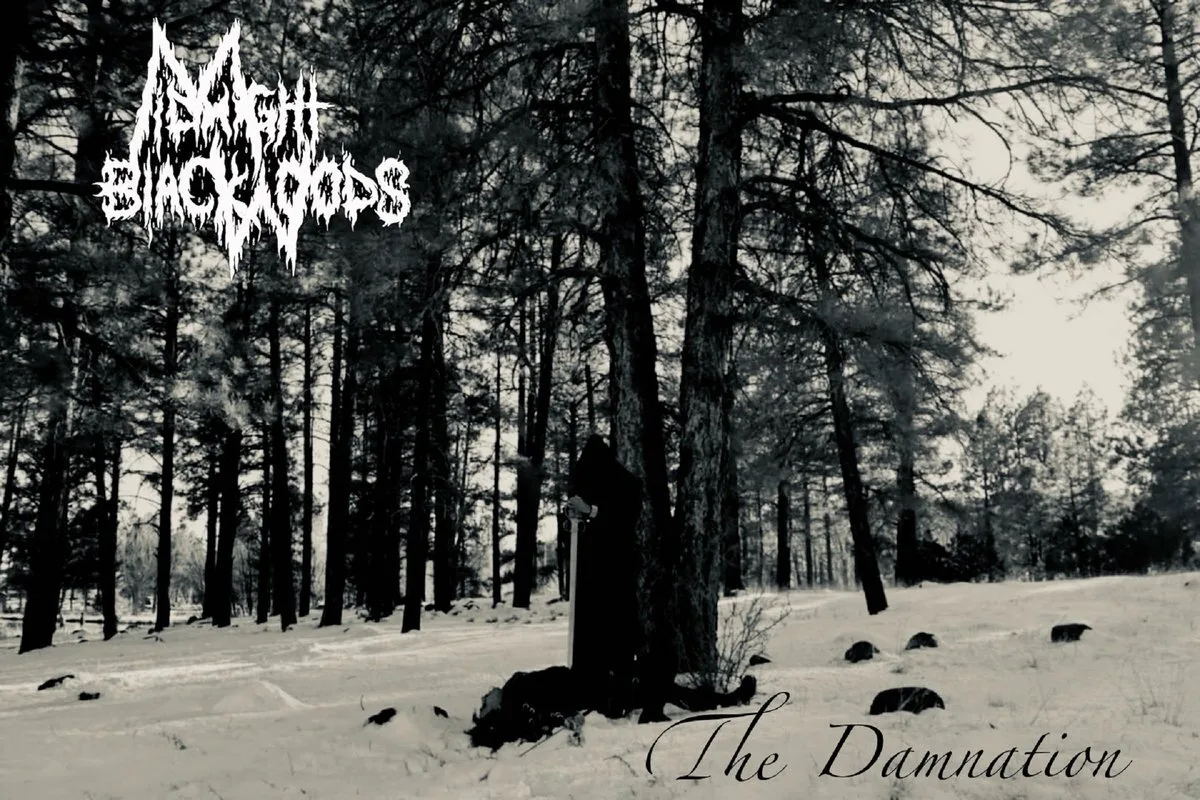 The Damnation cover