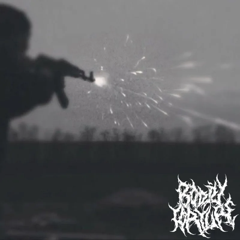 Legalized Killing cover