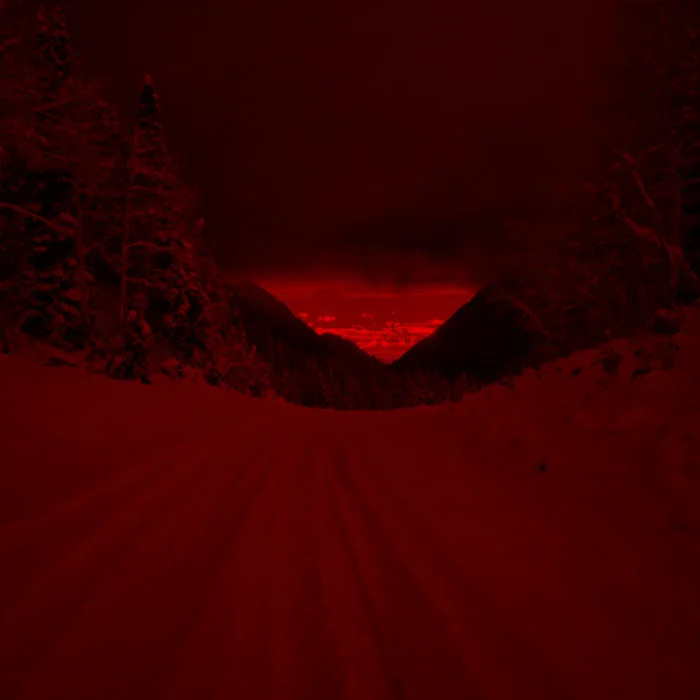 The Endless Winter cover